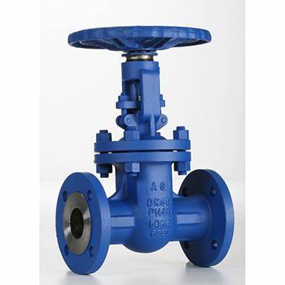 供應意大利Valvosider閥門、過濾器